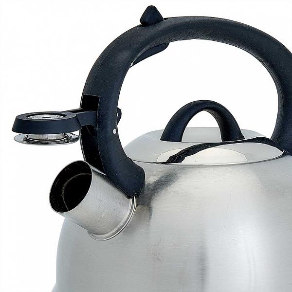 Чайник Webber BE-0554