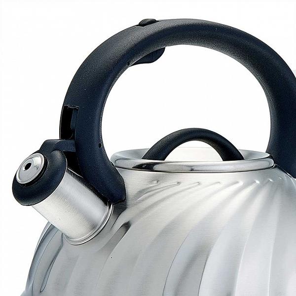 Чайник Alpenkok AK-500/1