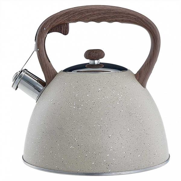 Чайник Alpenkok AK-533