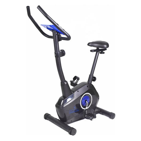 Велотренажер Royal Fitness RFIB-15