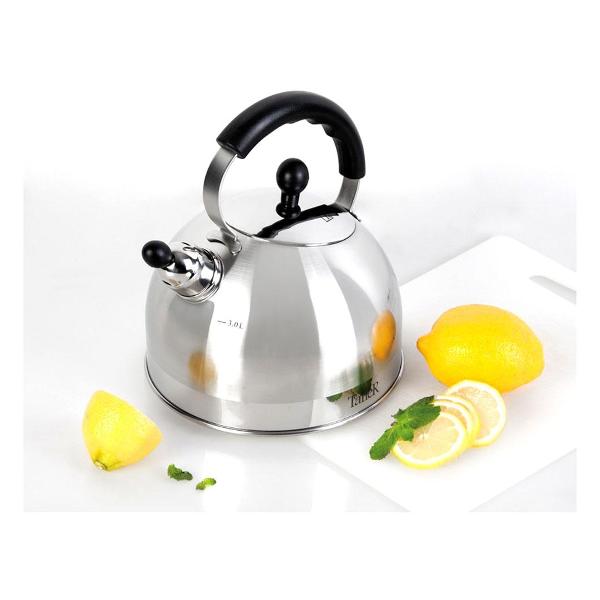 Чайник TalleR Брент 3л (TR-11344) нержавеющая сталь