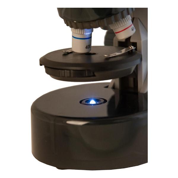 Микроскоп Levenhuk LabZZ M101 Moonstone Лунный камень