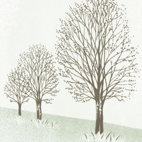 Шторка RIDDER 47838