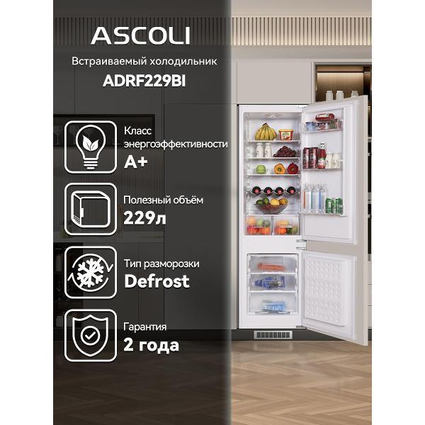 Встраиваемый холодильник комби Ascoli ADRF229BI