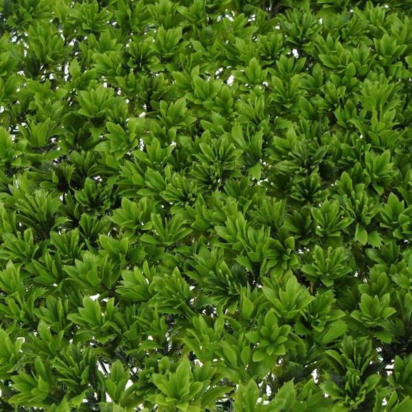 Декоративное изделие для сада Greengo 3823534