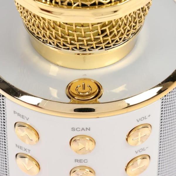 Микрофон вокальный Luazon Home LZZ-56 WS-858 3916282