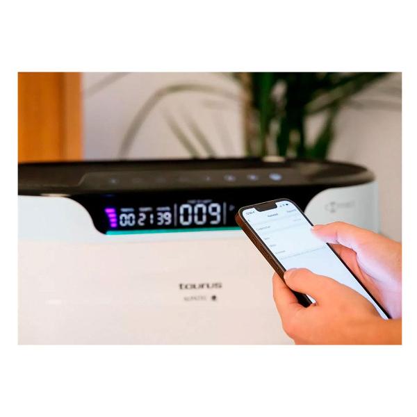 Воздухоочиститель Taurus High Landscapes Connect Pro