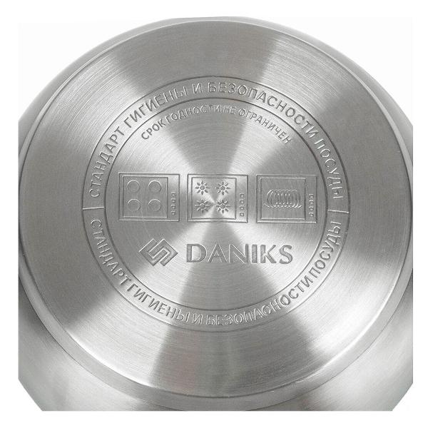 Кастрюля Daniks Стандарт-PR SD-24-2