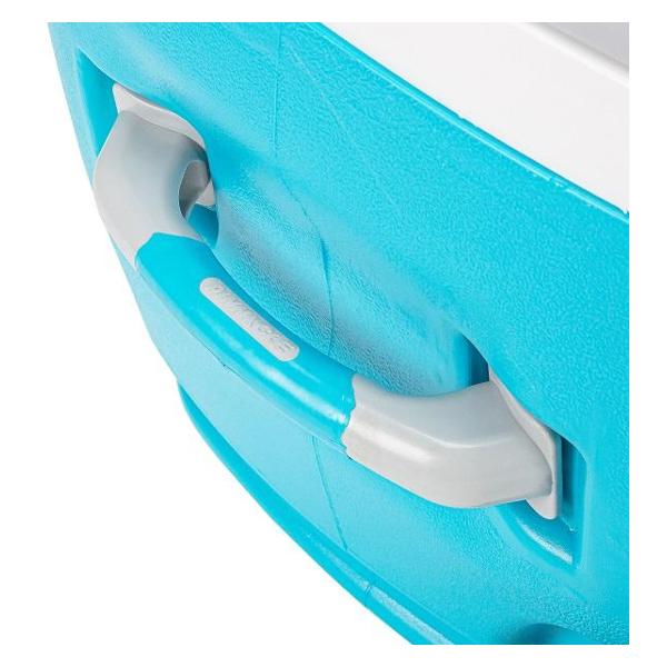 Сумка - изотермический контейнер Pinnacle TPX-3008