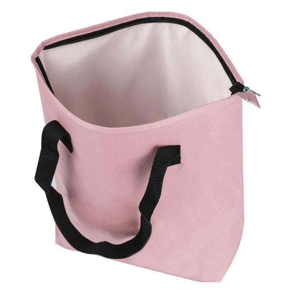 Сумка - изотермический контейнер Ecos PC2216