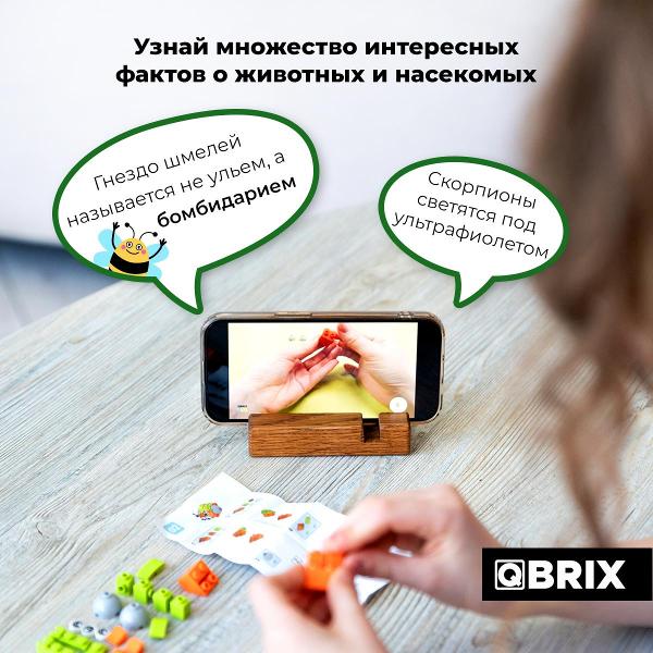 Конструктор QBRIX Мир жучков 30021