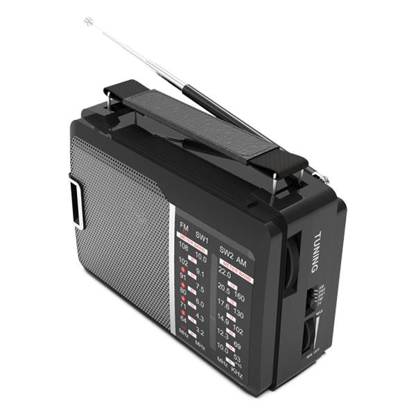 Радиоприемник Ritmix RPR-190