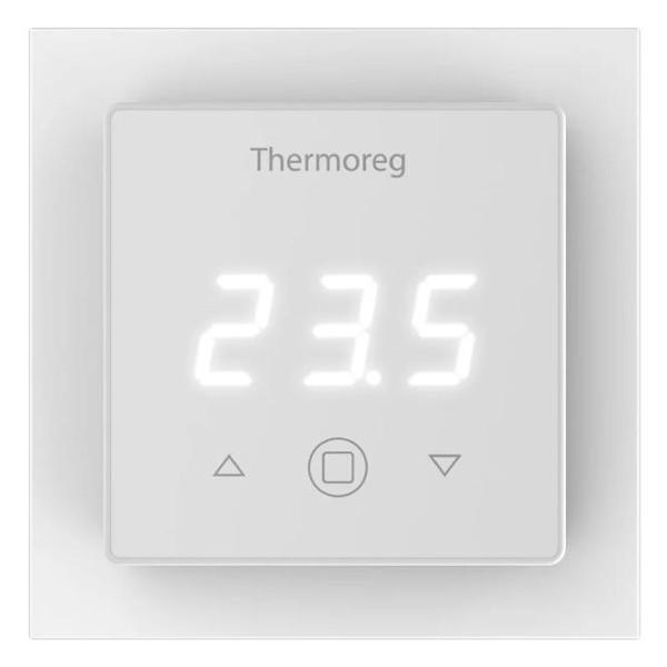 Терморегулятор Thermo Thermoreg TI 300 фото