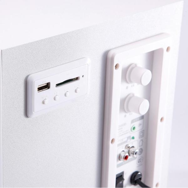 Колонки компьютерные 2.1 Microlab M-300U черный