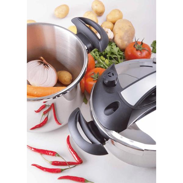 Скороварка Zanussi Monte Rosa серебристый