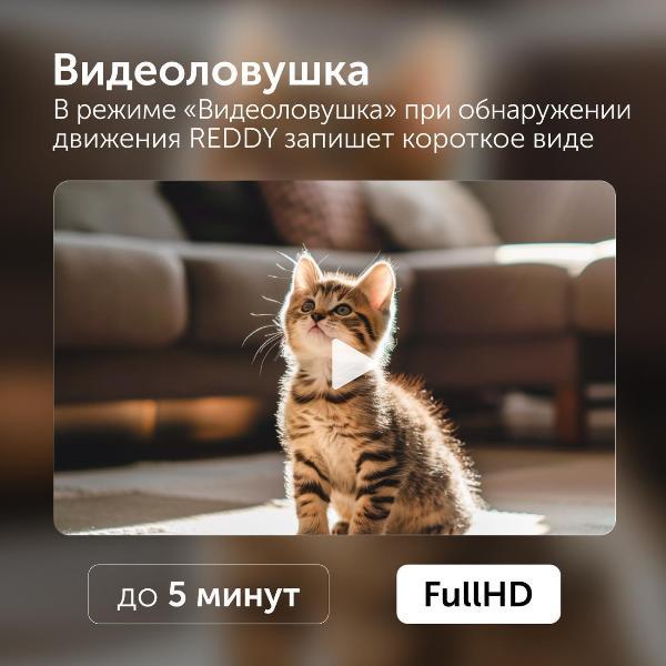 Умный гаджет RED SOLUTION SE