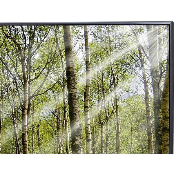 Телевизор Samsung QE65Q70B