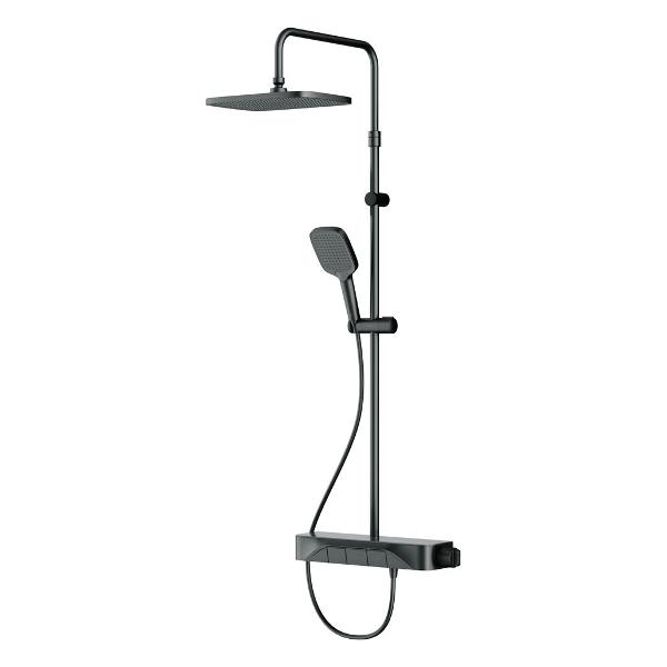 Душевая система Am.Pm F078F222 фото