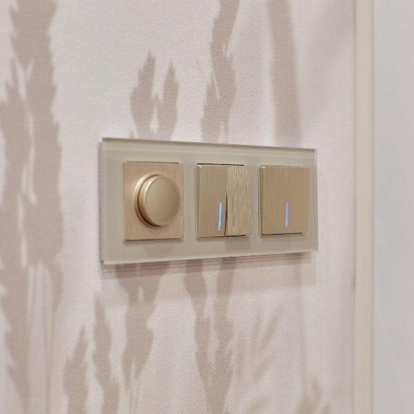 Диммер Werkel W1142010