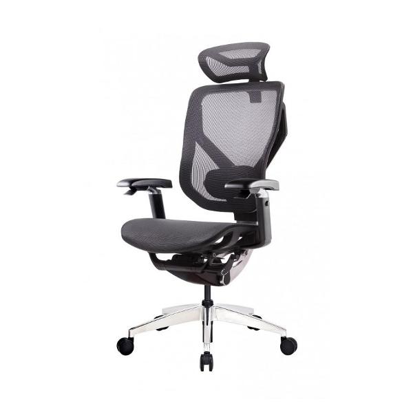 Кресло компьютерное GTCHAIR GTC-VIDA-X-BK