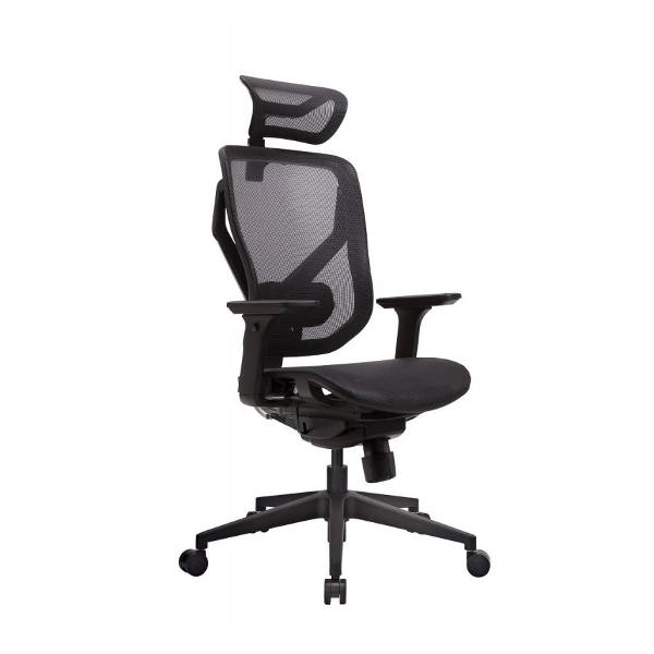 Кресло компьютерное GTCHAIR GTC-VIDA-M-BK