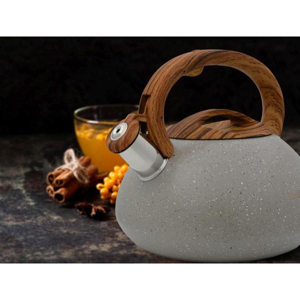 Чайник Fanhoff FH-69687 Be