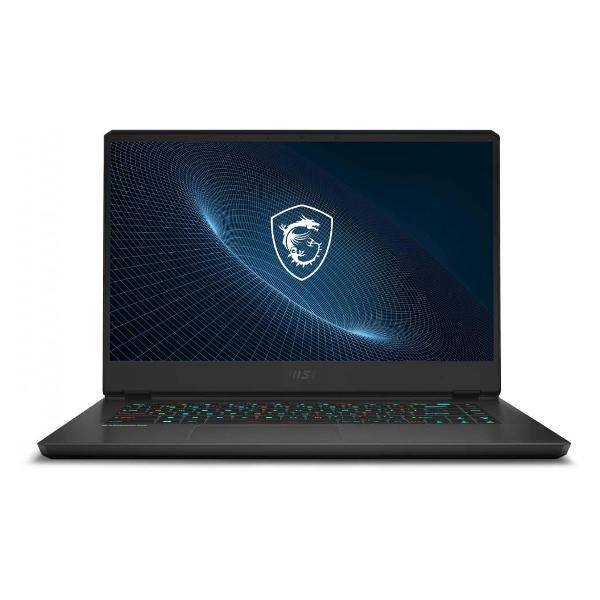 Ноутбук MSI Vector GP66 9S7-154424-671