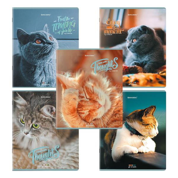 Тетрадь предметная Brauberg 404693 96 л