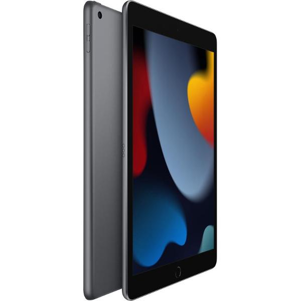 Планшет Apple iPad 10.2 2021 256GB Wi-Fi Space Gray (без RuStore)
