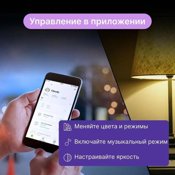 Умная лампочка Nitebird WB4-2 pcs/pack