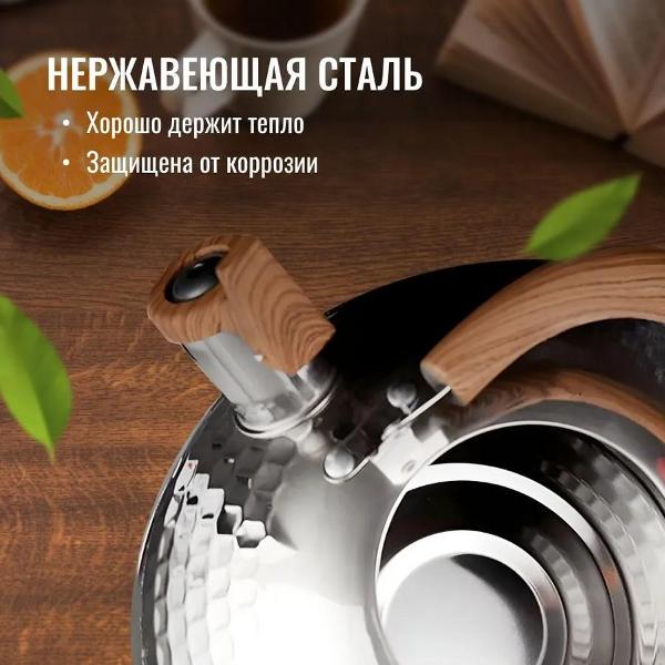 Чайник HOMIUM water2.5L