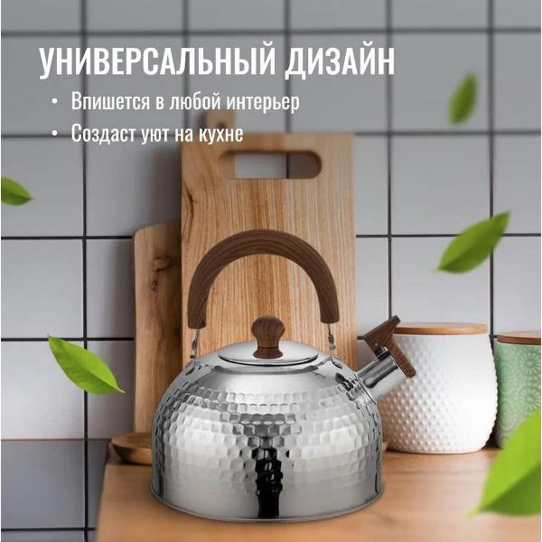 Чайник HOMIUM water2.5L