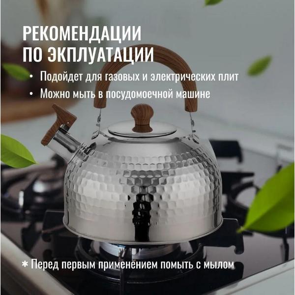 Чайник HOMIUM water2.5L