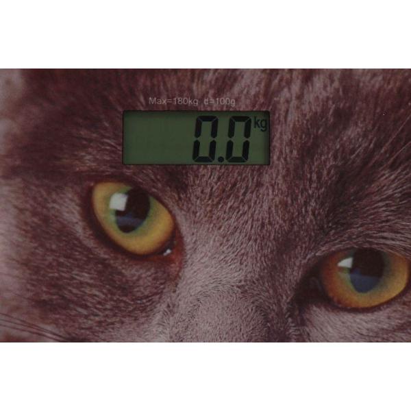 Весы напольные Sakura SA-5065CT