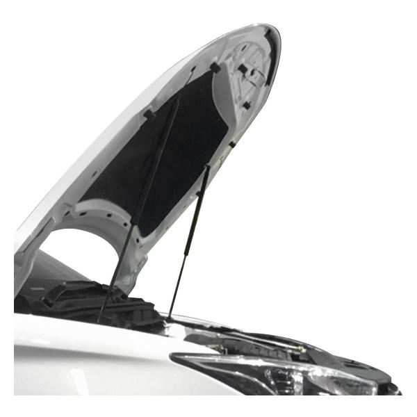 Амортизатор капота Rival A.ST.8905.1