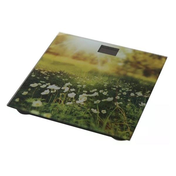 Весы напольные Добрыня DO-3006G