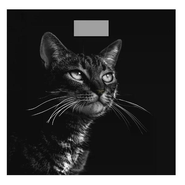 Весы напольные Добрыня DO-3006C