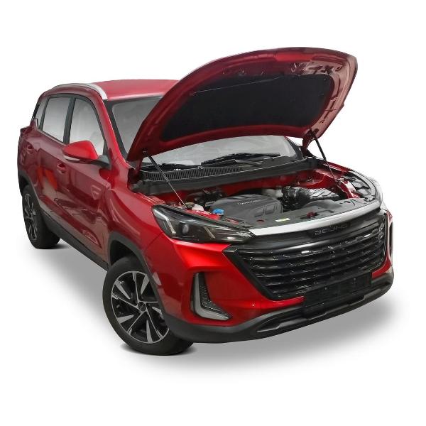 Амортизатор капота Rival A.ST.3502.1