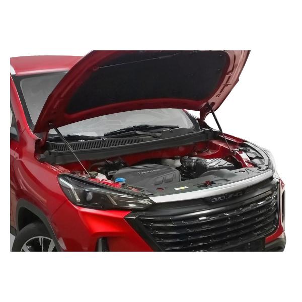 Амортизатор капота Rival A.ST.3502.1