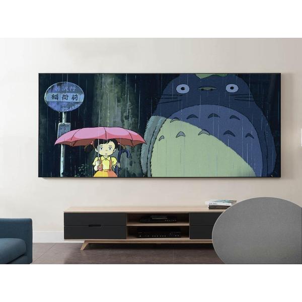 Экран для видеопроектора S'ok SCPSFR-360x200G