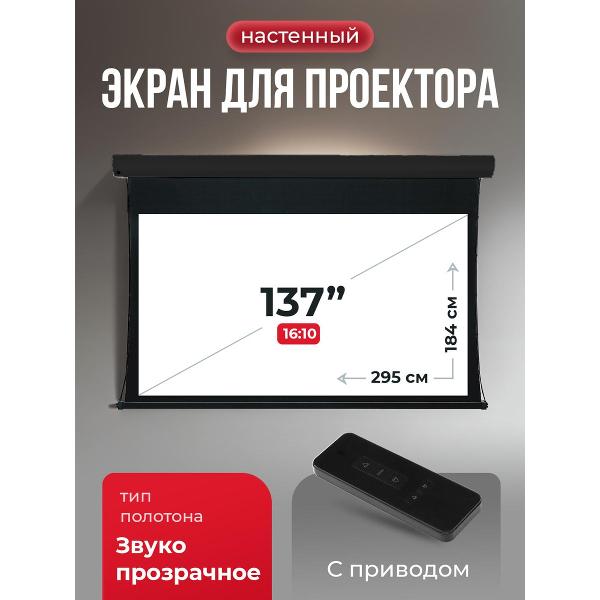 Экран для видеопроектора S'ok SGPSMT-295x184A-BK
