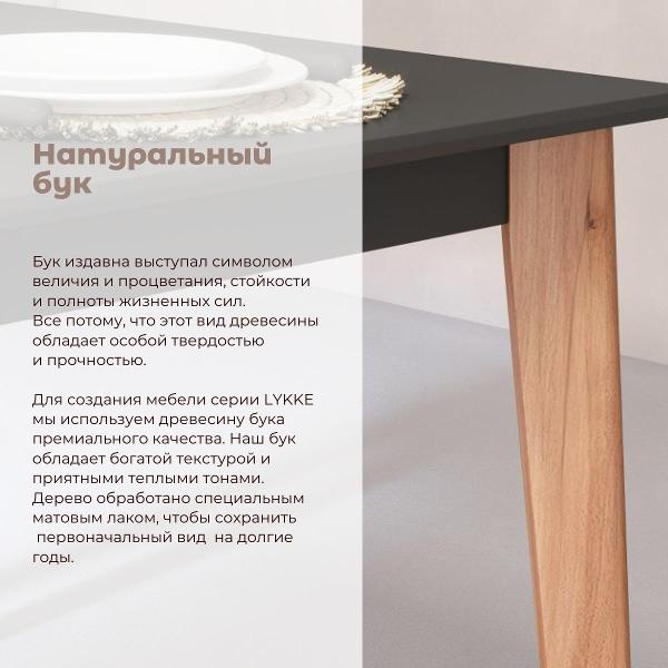 Стол обеденный Skyland LYKKE TS-110 Антрацит/Бук 110х70х75