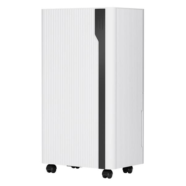 Осушитель воздуха Remez RMD-313 фото