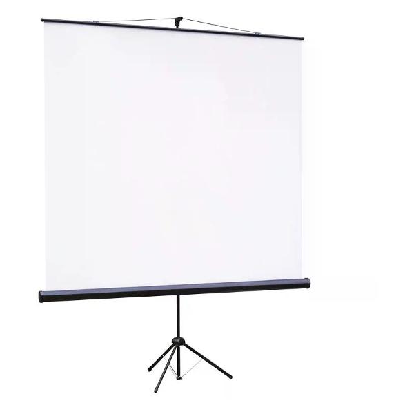 Экран для видеопроектора Lumien Eco View