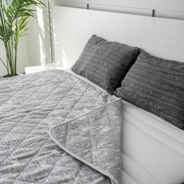 Электроодеяло EcoSapiens Grey ES-411 gr