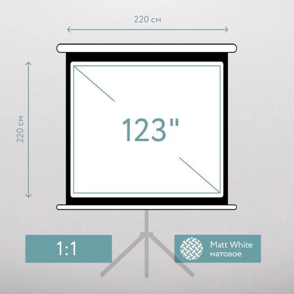 Экран для видеопроектора S'ok SCPST-220x220