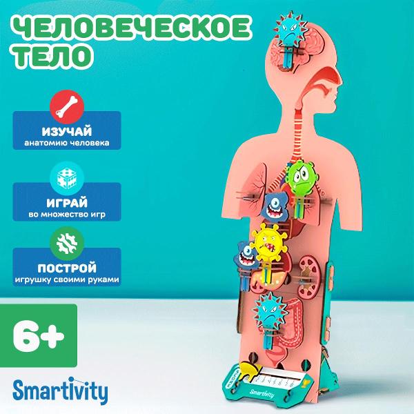 Конструктор Smartivity Человеческое Тело SMRT1222