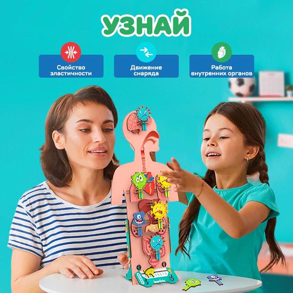 Конструктор Smartivity Человеческое Тело SMRT1222