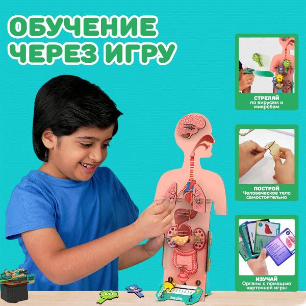 Конструктор Smartivity Человеческое Тело SMRT1222