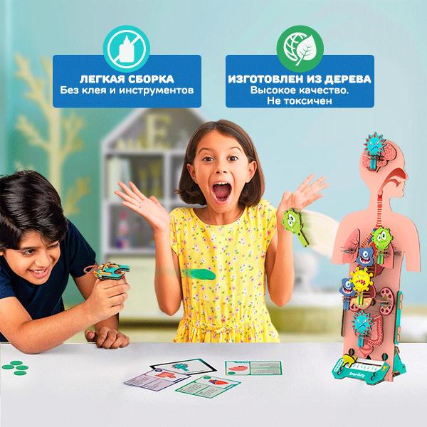 Конструктор Smartivity Человеческое Тело SMRT1222